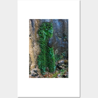 Weeping Rock Topiary - Zion - Utah Posters and Art